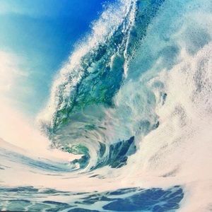 Meet your Posher, Jazmine